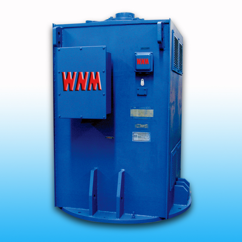 【高效】YL、YLKK系列立式電機（6KV/10KV）